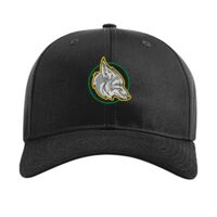 Pro Twill Snapback Thumbnail