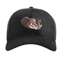 Pro Twill Snapback Thumbnail