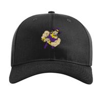 Pro Twill Snapback Thumbnail