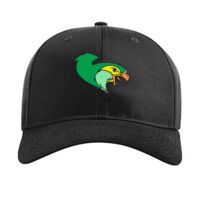 Pro Twill Snapback Thumbnail