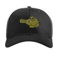 Pro Twill Snapback Thumbnail