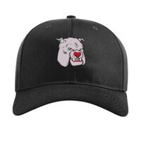 Pro Twill Snapback Thumbnail