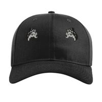 Pro Twill Snapback Thumbnail