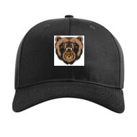 Pro Twill Snapback Thumbnail