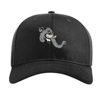 Pro Twill Snapback Thumbnail