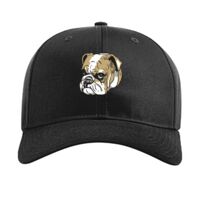 Pro Twill Snapback Thumbnail