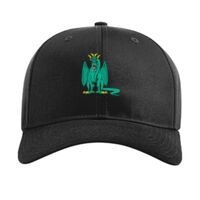 Pro Twill Snapback Thumbnail