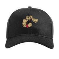 Pro Twill Snapback Thumbnail