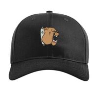 Pro Twill Snapback Thumbnail