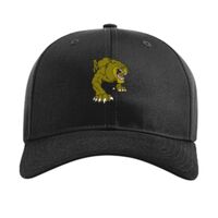 Pro Twill Snapback Thumbnail