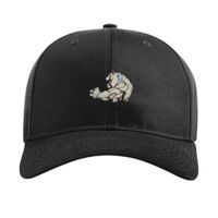 Pro Twill Snapback Thumbnail