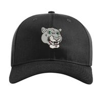 Pro Twill Snapback Thumbnail