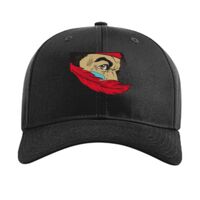 Pro Twill Snapback Thumbnail
