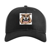 Pro Twill Snapback Thumbnail