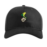 Pro Twill Snapback Thumbnail