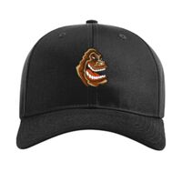 Pro Twill Snapback Thumbnail