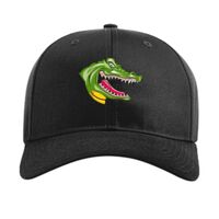 Pro Twill Snapback Thumbnail