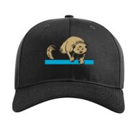 Pro Twill Snapback Thumbnail