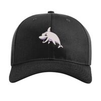 Pro Twill Snapback Thumbnail