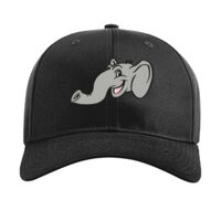 Pro Twill Snapback Thumbnail