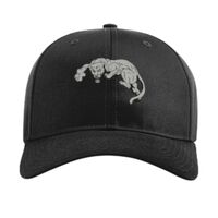 Pro Twill Snapback Thumbnail