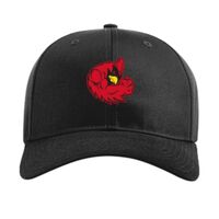 Pro Twill Snapback Thumbnail