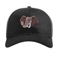 Pro Twill Snapback Thumbnail