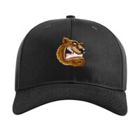 Pro Twill Snapback Thumbnail