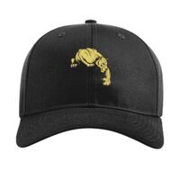 Pro Twill Snapback Thumbnail