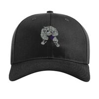Pro Twill Snapback Thumbnail