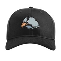 Pro Twill Snapback Thumbnail