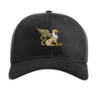 Pro Twill Snapback Thumbnail