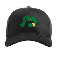 Pro Twill Snapback Thumbnail