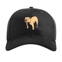 Pro Twill Snapback Thumbnail