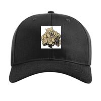 Pro Twill Snapback Thumbnail