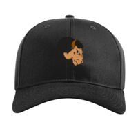 Pro Twill Snapback Thumbnail
