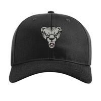 Pro Twill Snapback Thumbnail