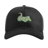 Pro Twill Snapback Thumbnail