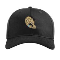 Pro Twill Snapback Thumbnail