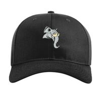 Pro Twill Snapback Thumbnail