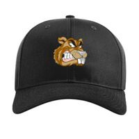 Pro Twill Snapback Thumbnail