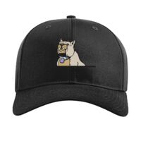 Pro Twill Snapback Thumbnail