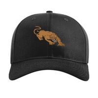 Pro Twill Snapback Thumbnail