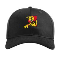 Pro Twill Snapback Thumbnail