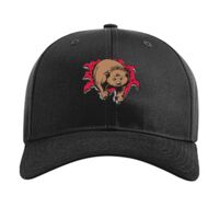 Pro Twill Snapback Thumbnail