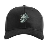 Pro Twill Snapback Thumbnail