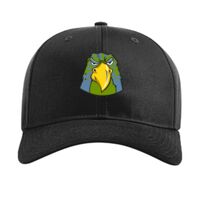 Pro Twill Snapback Thumbnail
