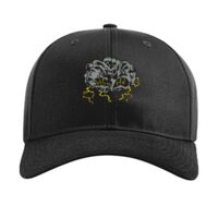 Pro Twill Snapback Thumbnail