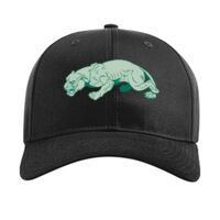 Pro Twill Snapback Thumbnail