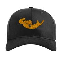 Pro Twill Snapback Thumbnail